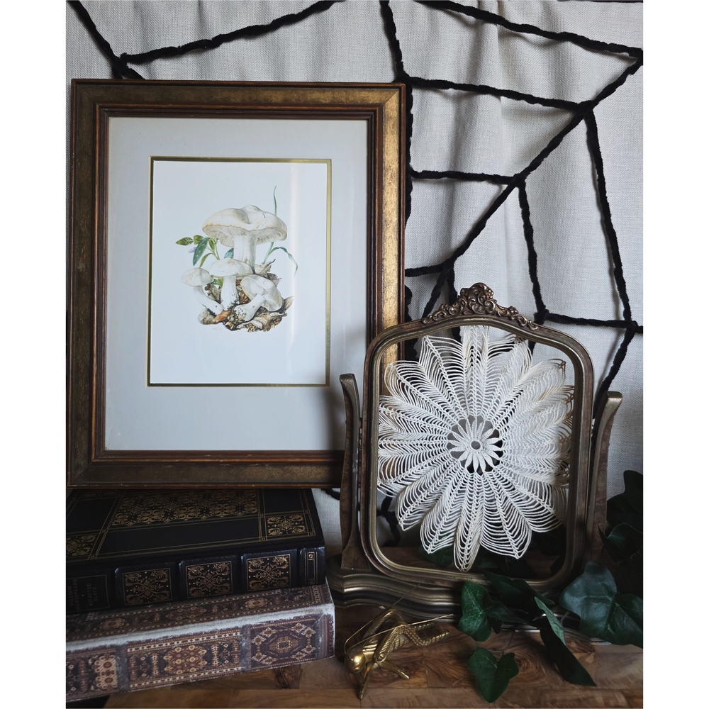 Vintage Framed Mushroom Art and Decorative Frame